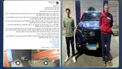 طفل يقود سيارة ملاكي برعونة في كفر الشيخ