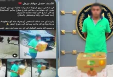 لحظة ضبط لص سرق مواد غذائية من تروسيكل في بني سويف